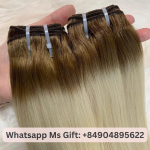 Ombre-Color-Bone-Straight-Vietnamese- Raw-Hair-1